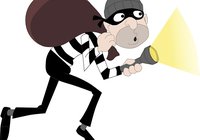 burglar
