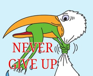 phrasal verb 'give up'