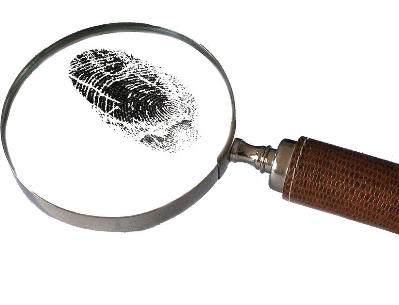 prove-3-irregular-verb-forms-v1-v2-v3